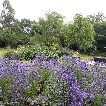 Stoneleigh Barn Bed And Breakfast เชอร์บอร์น ภายนอก รูปภาพ