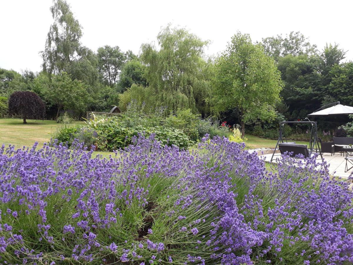 Stoneleigh Barn Bed And Breakfast เชอร์บอร์น ภายนอก รูปภาพ